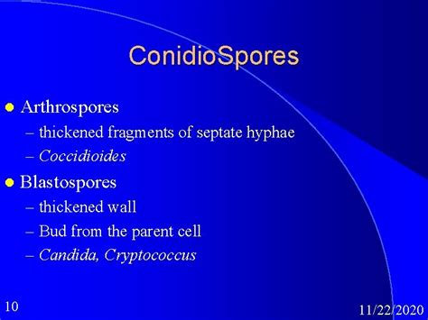 Medical Mycology Classification Of Mycoses Hugh B Fackrell