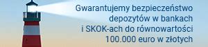 Sk Adki Na Fundusz Gwarancyjny Bank W Bfg