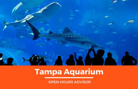 Tampa Aquarium Hours: Opening, Closing & Holidays Hours | February 2024