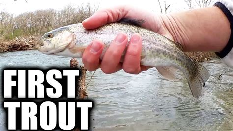 Stocked Rainbow Trout Fishing In Tennessee Realistic Fishing