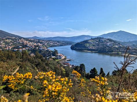 Pr Pelos Caminhos De Rio Mau Pnf Gdm Penafiel