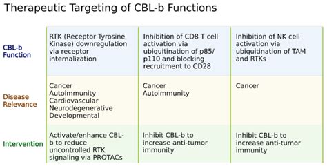 Ubiquitination And Cbl