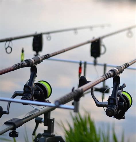 Rod-Pod Test: Die besten Rod-Pods im Vergleich!