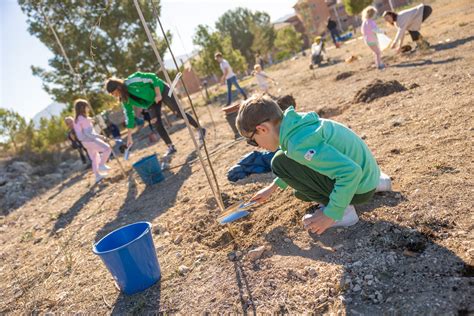 Lalf S Celebr El D A Del Rbol Con Una Jornada De Reforestaci N