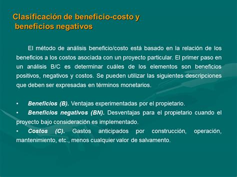 La Relación Beneficio Costo Powerpoint Página 2