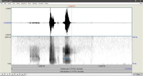 shows     realized  concealed consonant nasalization