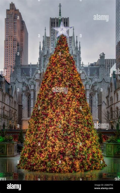 Lotte New York Palace Christmas Tree Hi Res Stock Photography And