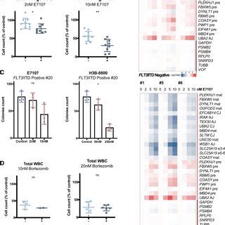 Response Of Primary AML Cells With Or Without FLT3 ITD To Splicing