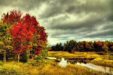 Autumn In Old Forge Photograph By David Patterson Fine Art America