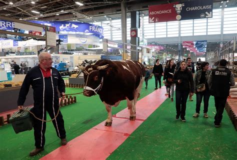 Salon de l Agriculture 2024 la 60e édition met à l honneur la