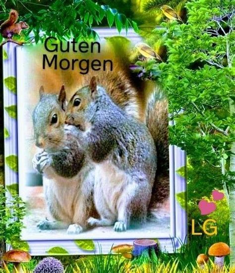 Pin Von Gerlinde Mai Auf Guten Morgen Guten Morgen Guten Morgen