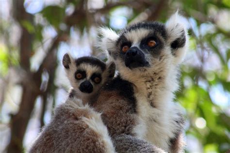 Incre Bles Lugares Que Debes Visitar En Madagascar Imagina Travel