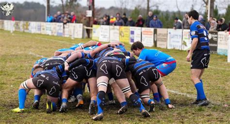 Nouvelle Aquitaine Les Poules De R Gionale Officialis Es