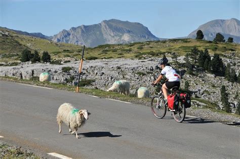 senderos en Licq Athérey Guide du Pays Basque