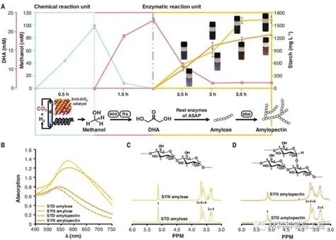 《science》重大突破！我国首次实现由二氧化碳人工合成淀粉！ 知乎