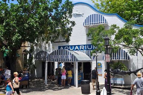 Key West Aquarium Discount Tickets