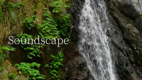 SoundscapeNature Sounds Waterfall Sounds Relaxing Nature Sounds 滝の音