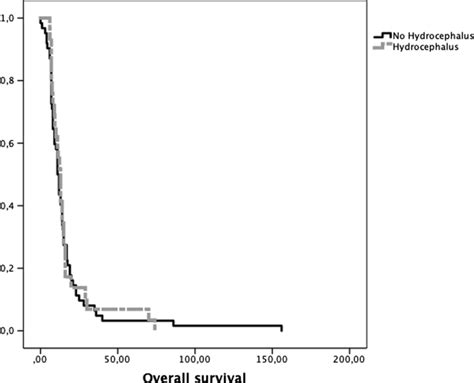 Kaplan-Meier curve analyzing overall survival of DIPG patients... | Download Scientific Diagram