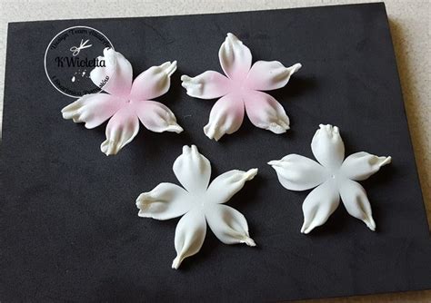 Three White And Pink Flowers On A Black Board