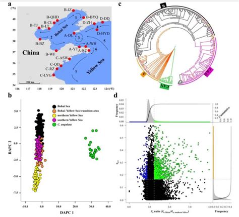 中科院海洋所牡蛎适应性进化研究重要成果在nature子刊发表 中科院海洋所实验海洋生物学重点实验室张国范研究员团队基因