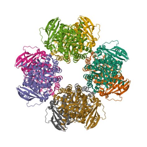 RCSB PDB 2CWX Crystal Structure Of Octameric Ribulose 1 5