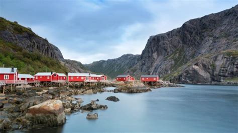 Nusfjord A Traditional Lofoten Fishing Village Life In Norway