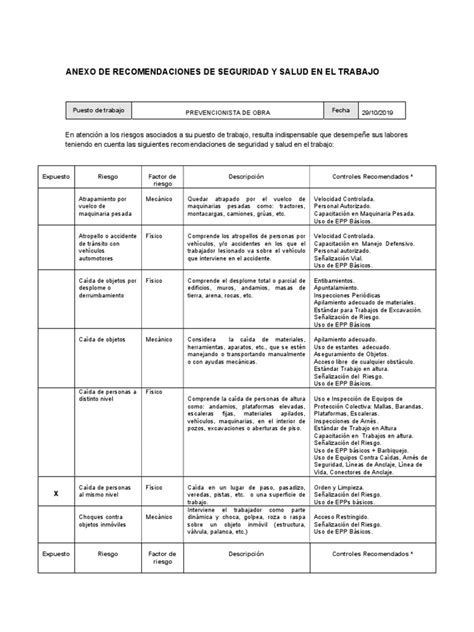 Recomendaciones De Sst Pdf Factores Humanos Y Ergonomía Electricidad