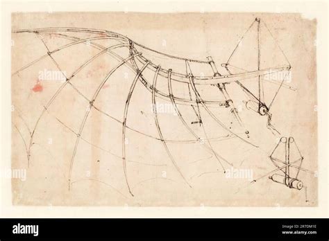 Leonardo Da Vinci Drawing Mechanical