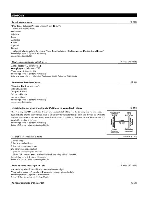 Solution Anatomy Medical Mnemonics Com Studypool