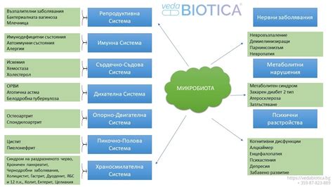 Микробиота и дълголетие. Как да направим правилен избор на пробиотици ...
