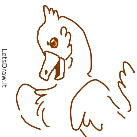 how to draw a beak
