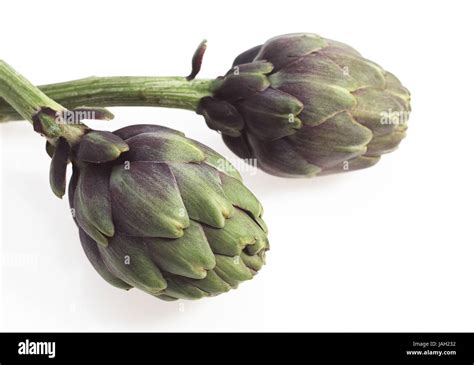 Artichokes Cynara Scolymus Vegetables White Background Stock Photo Alamy