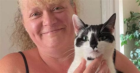 Mum Left Horrified After Cat Comes Home With Anal Beads In Its Mouth Daily Record