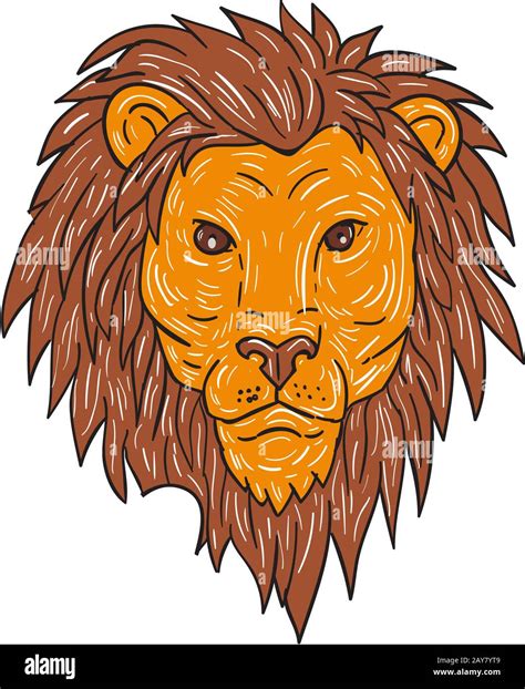 Male Lion Big Cat Head Drawing Stock Photo - Alamy