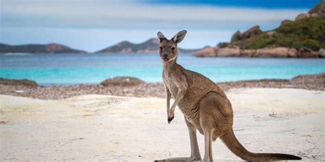 The most beautiful beaches in Australia - here is paradise