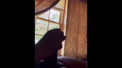 隣人は私が中出しするのを見するのが大好き Pornhub Gay