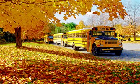 Church Trips | Academia Bus Company