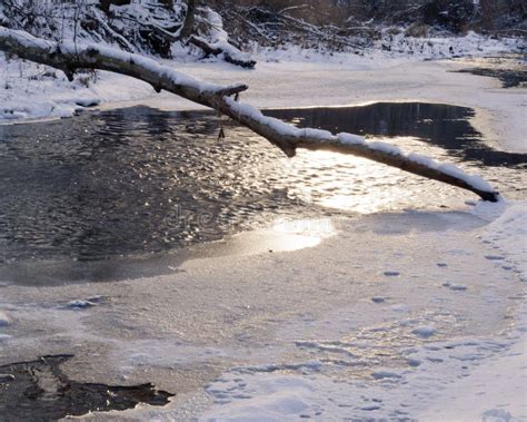 Inverno Lago E Log Congelados Imagem De Stock Imagem De Inverno