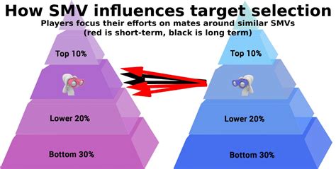 Sexual Market Value A Practical Analysis Laptrinhx News