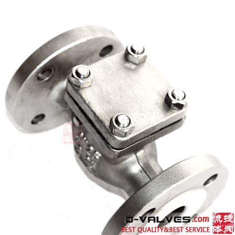 Din Standard Cf M Pn Pn Stainless Steel Flange End Swing Check