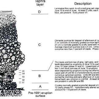 Typical stratigraphic section of 1991 tephra-fall deposits southwest of ...