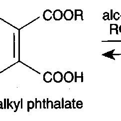 2 Effect Of Plasticizer DEHP Di 2 Ethylhexyl Phthalate