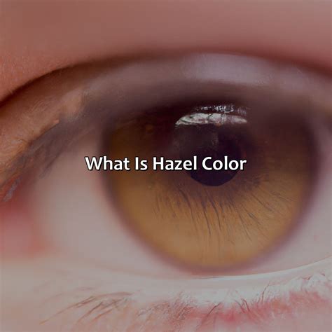 What Is Hazel Color - colorscombo.com