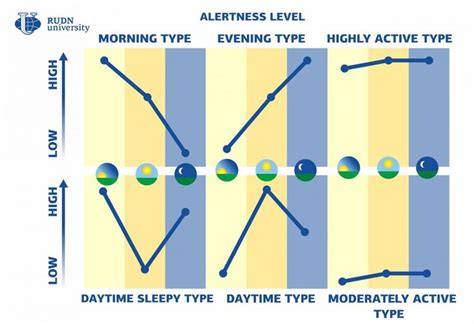 There Are 6 Human Chronotypes Not Just Morning Larks And Night Owls