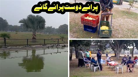 Model Town Park Lahore چپس اور دوست♥️ ماڈل ٹاؤن پارک Dil Ki Baat