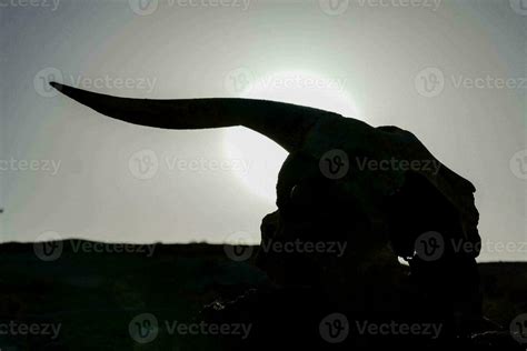 An animal skull silhouette 31692454 Stock Photo at Vecteezy