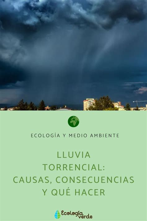 Lluvia Torrencial Causas Consecuencias Y Qué Hacer Resumen Lluvia Torrencial Lluvia Ecología