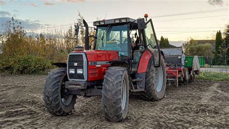 Oporowe Siewy Pszenicy Na Kogutach Gr Szewczyk Massey Ferguson