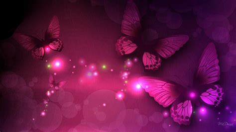 Pink Black Butterflies Hd Pink Butterfly Wallpapers Hd Wallpapers