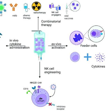 Approaches for an effective adoptive NK cell therapy in pediatric bone ...
